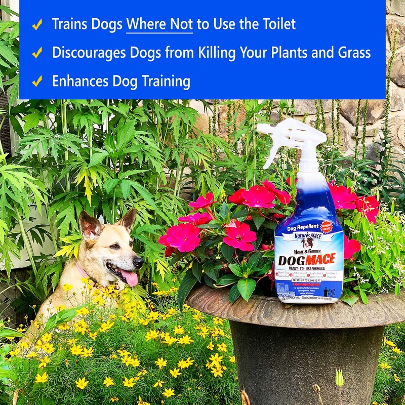 Nature’s MACE Dog Repellent 1 Gallon Concentrate/Treats 48,000 Sq. Ft.
