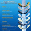 Replacement Cartridge for Bath Filter,Universal Replacement and Compatible with Crystal