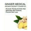 Ocean International GINGER MEDICAL HAIR SHAMPOO (800 ML) WITH HERBAL