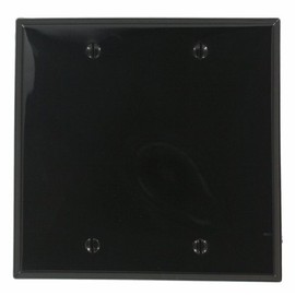 Leviton 2-Gang Blank Plate Nylon Standard Wall Plate (1-Pack), 80725-E, Black