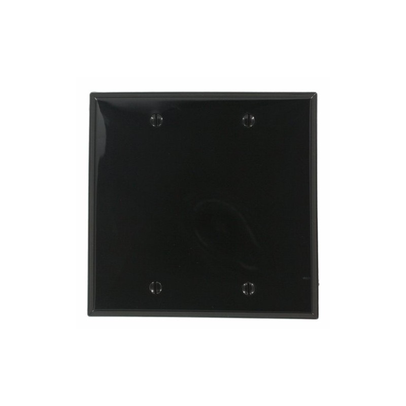 Leviton 2-Gang Blank Plate Nylon Standard Wall Plate (1-Pack), 80725-E,