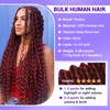 Human Braiding Hair for Boho Braids 110g 24 Inch Deep