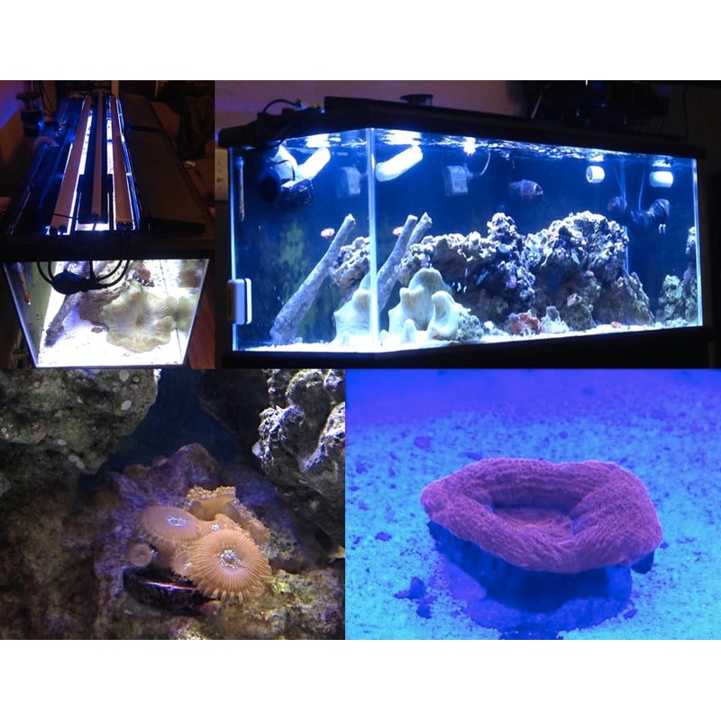 Aquarium LED Light ReefBar 453 nm Actinic Blue 9W Coral
