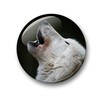 Wolf Wolf Grey Wolf European Wolf Fridge Magnets Set of