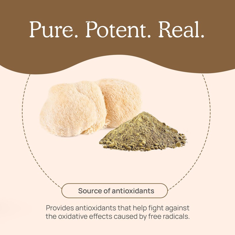 Real Mushrooms Real Mushrooms Lions Mane Powder - Organic Mushroom