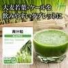 【リプサ公式】 青汁粒 約3か月分×2袋 T-707-2 国内製造
