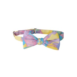 Holiday Bow Ties Mens Self-tie Pastel Easter Egg Bow Tie Spring Holiday, Mens (Mens)