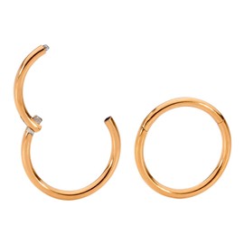 365 Sleepers 2pcs G23 Titanium 18G (Thin) Hinged Hoop Segment Rings Sleeper Earrings 5mm-6mm-7mm-8mm-9mm-10mm-11mm-12mm-13mm, Titanium, No Gemstone
