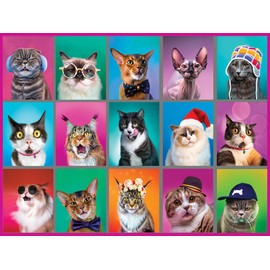 White Mountain Puzzles - Cat Portraits - 500 Piece Jigsaw Puzzle