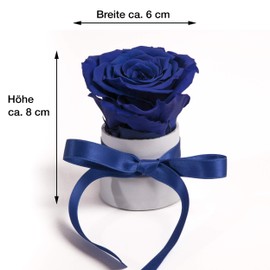 ROSEMARIE SCHULZ Heidelberg Small Rose Box White Round Infinity Rose Flower Box 1 Real Flower Preserved Durable 3 Years Height Approx. 8 cm – Not a Gift for Women (White/Blue)