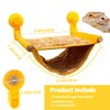 FlidRunest Bearded Dragon Hammock with Suction Cups, Soft Lizard Hammock