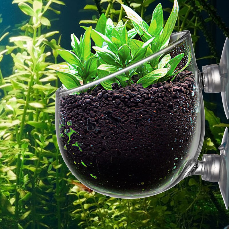 Hiceeden 6 Pack Aquatic Plant Cup with 2 Suction Cup,
