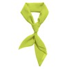 Green Scarf Daphne Lime Green Ascot Neck Silk Scarf Headband