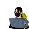 Parrot Anti-Scratch Shoulder Bird Anklet Toys, Multi-Functional Bird Diaper Flight