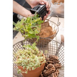 Garden Basket S 62632