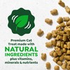 Greenies Cat Treats, Feline Veterinarian-Recommended Adult Natural Dental Cat Treats,