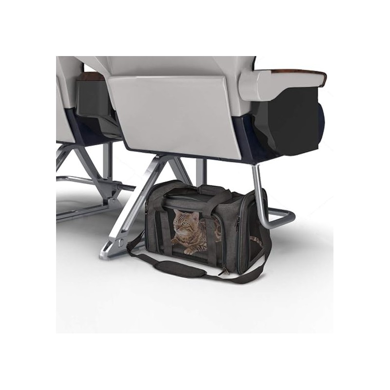 WePet Dog Carrier Pet for Small Medium Cats Dogs Puppies