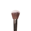 PRAUSH P01 - Professional Powder Big Brush