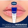 Vaseline Bálsamo Labios Lip Therapy Advanced Healing