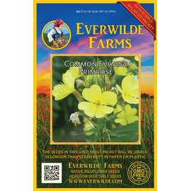 Everwilde Farms - 2000 Common Evening Primrose Wildflower Seeds - Gold Vault Jumbo Seed Packet