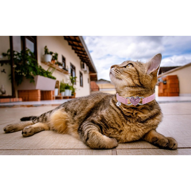 WDPAWS Heart Bling Cat Collar with Safety Belt and Bell