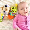 Playgro Sensory Friend Salo Sloth Baby Toy - Interactive Rattle