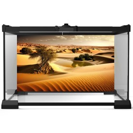 3 Pack Reptile Habitat Background Sunset Desert Terrarium Background Jungle Forest Terrarium Background Gobi Sunshine Cactus Stone Tank Terrarium Background Rainforest Reptile Background 36x18in