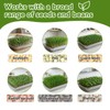 2 Pcs Stainless Steel Seed Sprouting Trays with Towel &