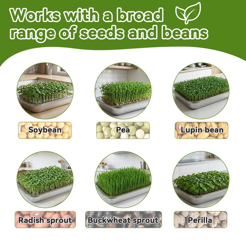 2 Pcs Stainless Steel Seed Sprouting Trays with Towel &