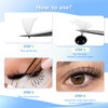 12Rows -Dedila Large Tray 10D Premade Fans Volume Eye Lashes