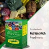 Dr. Ohhira's Probiotics, Daily, Original Formula, 100 Caps with Bonus