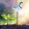 Zerodis Soil Moisture Alarm Meter, Hygrometer Sensor Gardening Tool Kit