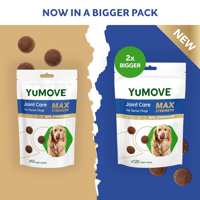 YuMOVE Senior Max Strength for Dogs Daily Bites 120 pack