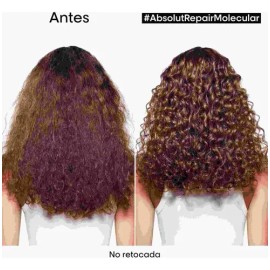 Loreal Absolut Repair Molecular Shampoo 500ml Mascara Chica                                                                                           