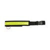 Equisafety Reflective LED Flashing Dog Collar - Yellow - Dog