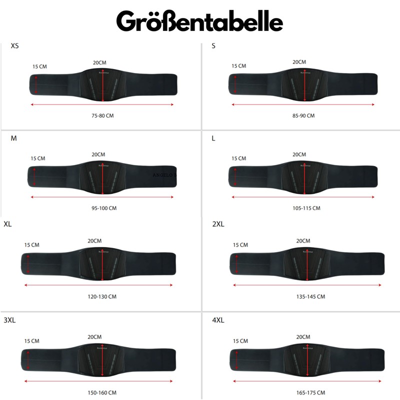BLACKWILD Motorcycle Kidney Belt with Primaloft®, Back Support Belt for