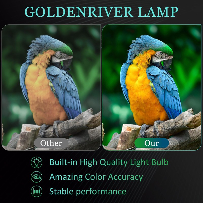 GOLDENRIVER 330-6581 KFV6M / 725-10229/725-10203 Replacement Lamp with Housing Compatible