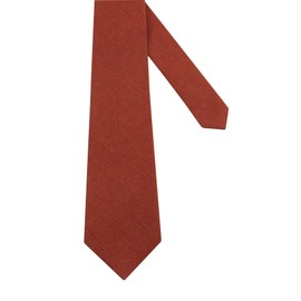 Mens Regular Width Color Linen Neckties - Standard and Extra Long Tie (Cinnamon, Standard 58 inches)