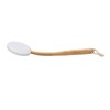 Lotion Applicator EVA Wooden Handle 4 Replaceable Pads Shower Brush