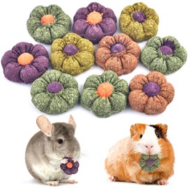 ERKOON Rabbit Chew Toys, 10PCS 1.77“ Timothy Grass Treats Small Animal Molar Toys for Guinea Pig Hamster Bunny Chinchilla Gerbil, Handmade Rabbit Chews and Treats