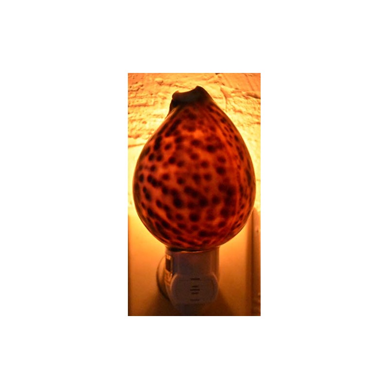 Real Seashell Night Light Tiger Cowrie Shell Decorative Beach Decor