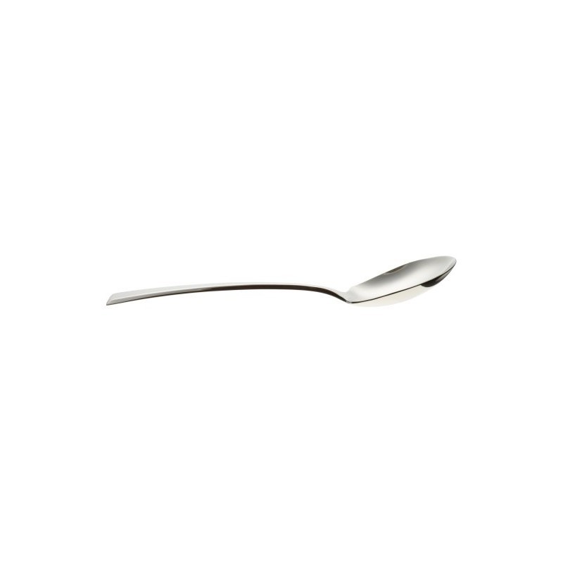 Yamazaki Epoch Serving Spoon