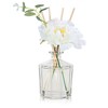 L'odeur Vill Reed Diffuser, 8.5 Oz(250ml) Juicy Lemon Bathroom Diffuser