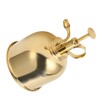 Professional Stainless Steel Watering Can with Top Pump for Succulent