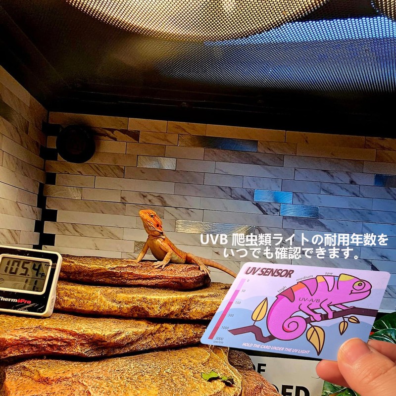 Reptile UV Sensor Ultraviolet Sensor UVB Reptile Light Test Card