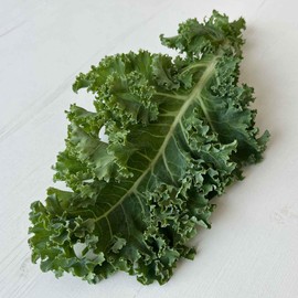 Kale Seeds - Dwarf Siberian - 1 Ounce - Vegetable Seeds, Heirloom Seed, Open Pollinated Seed Easy to Grow & Maintain, Fast Growing, Leafy Vegetable, Container Garden