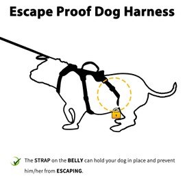 Huntboo Escape Proof Dog Harness, Escape Artist Harness, Reflective Harness with Padded Handle, Breathable, Durable, Adjustable Vest for Medium Dogs Walking, Training, and Running Gear（Rose red, S