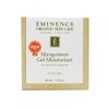 Eminence Organic Skin Care Mangosteen Gel Moisturizer, 4.2 Ounce