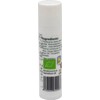 Vidaloe Aloe Vera Lip Balm 5 ml x 4 Units