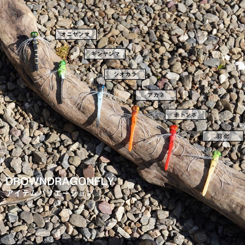 DAIWA Tombor, Round Dragon Fry Akane